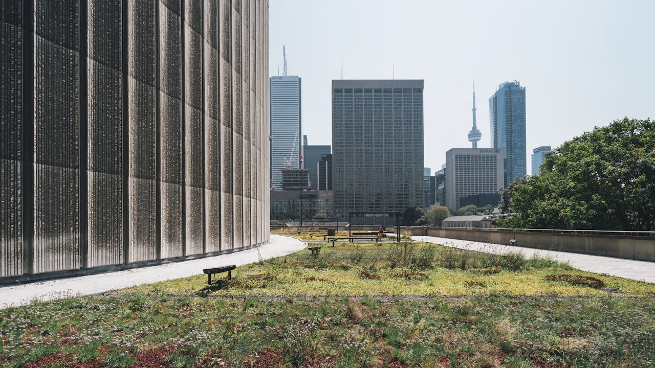 services-01 A sustainable rooftop garden with a view of the Toronto skyline, featuring modern architecture.